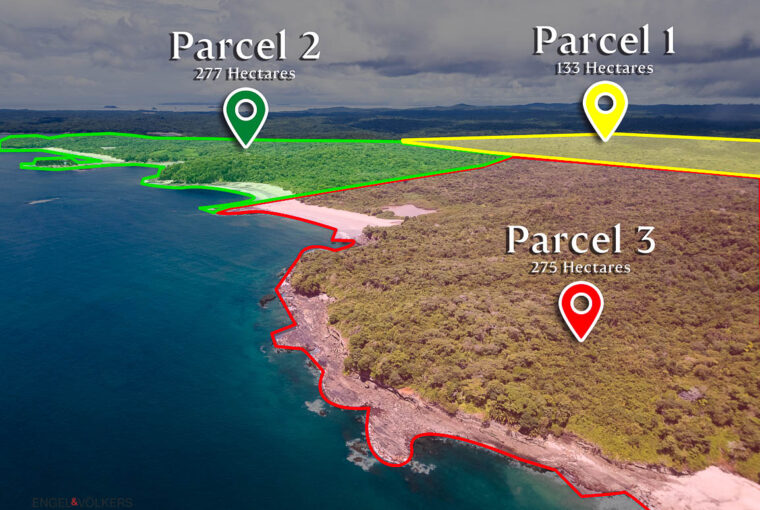 Isla del Rey, Panama