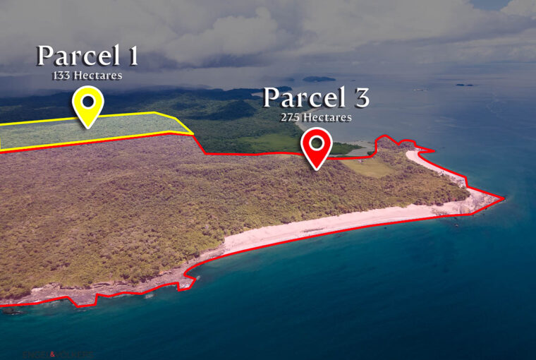 Isla del Rey, Panama