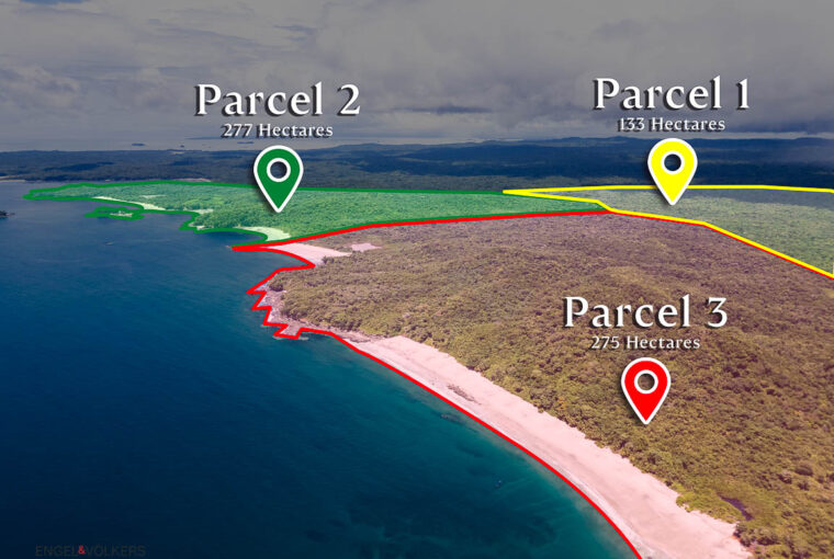 Isla del Rey, Panama